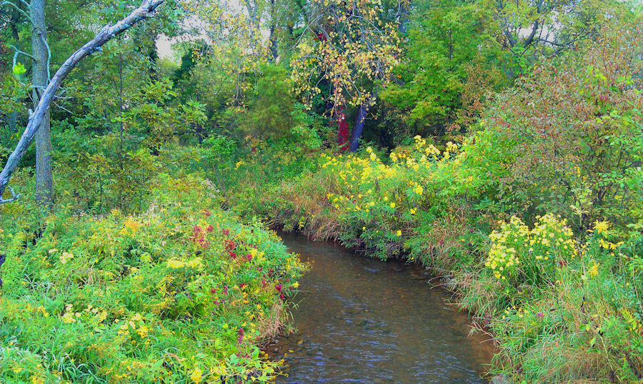 Hoosier Safari Coffee Creek