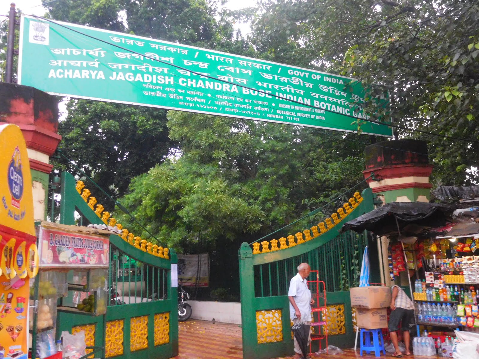 Kolkata Curry A visit to Botanical Garden