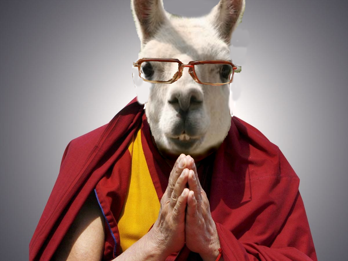 Llama2. Далай лама животное. Лама и человек. Лама в очках. Костюм ламы.