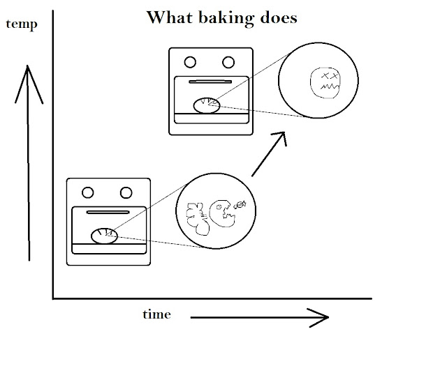 The Bread Maiden The Science Behind... the baking process, one