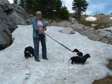 The Snowy Range, Wyoming, 2005