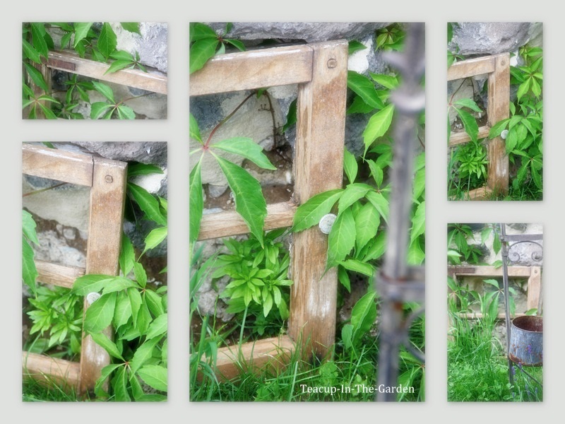 Teacup-In-The-Garden: Das Fenster zum Garten
