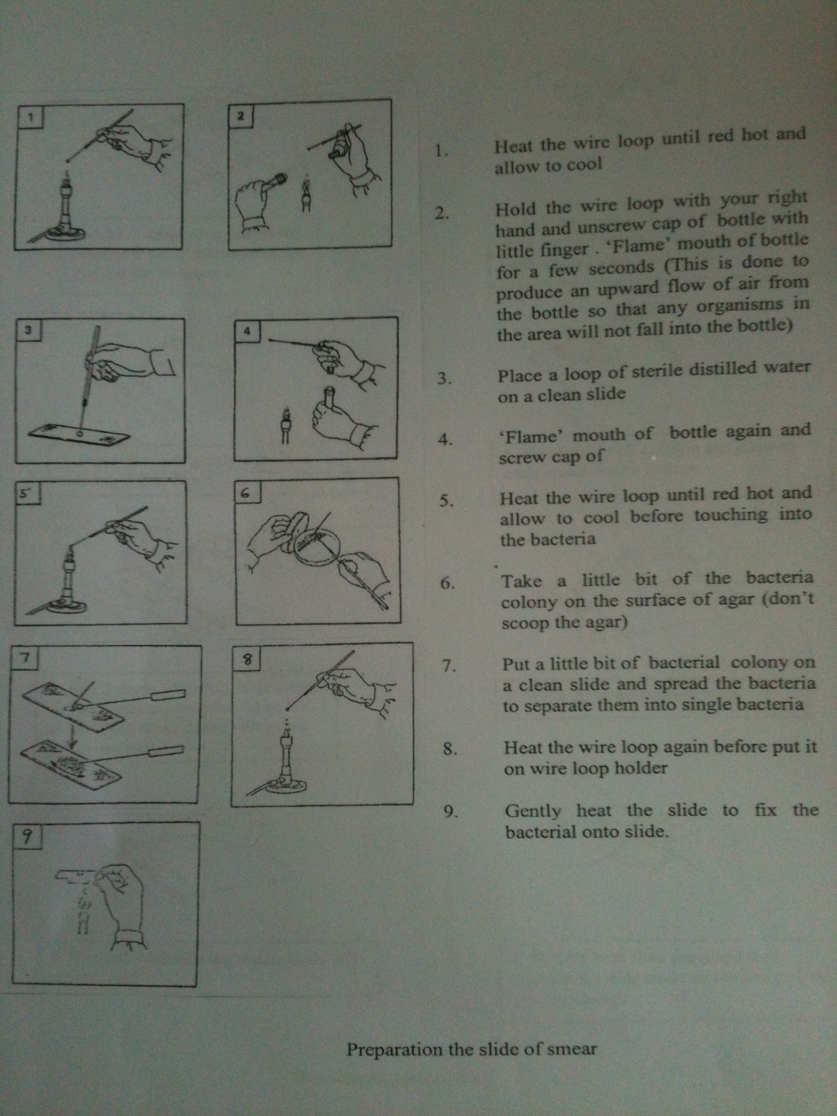 Matriculation Biology Disember 2015