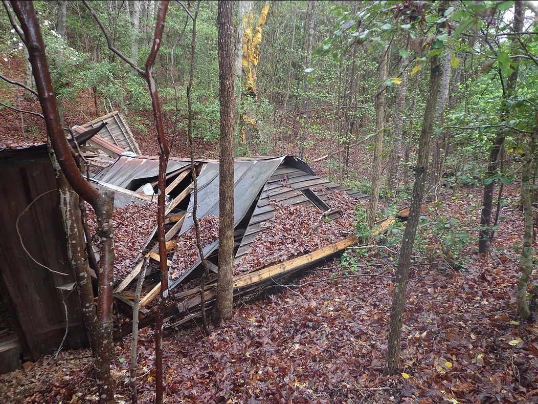 Evil Dead News News Related To The Evil Dead Franchise Featured