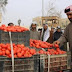 ناشطون يطلقون #خلوها_تعفن لخفض أسعار الطماطم