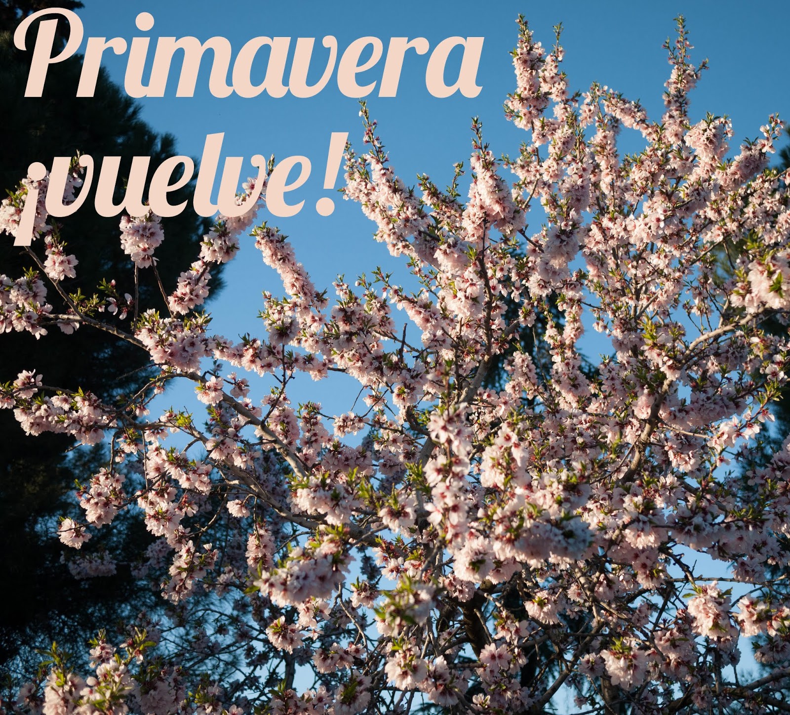 No sin mis hijos: abril 2014