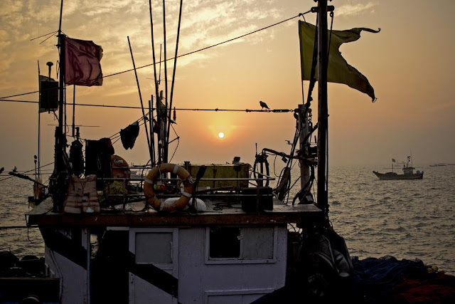 fishing boat, dawn, sunrise, sassoon docks, mumbai, india, flags, birds, silhouette, 