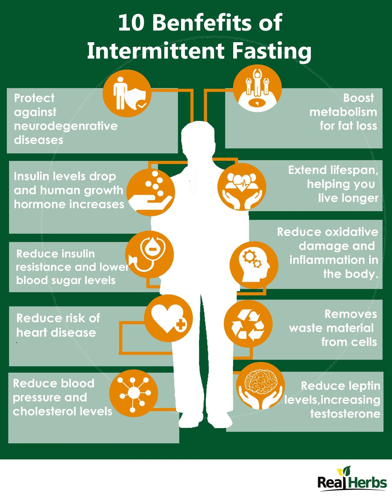 Low Carb High Fat Apprentice Intermittent Fasting Day 1 Through 3