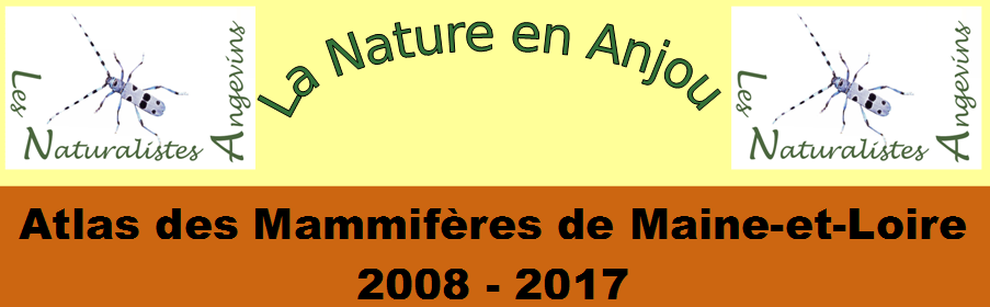 Atlas des Mammifères de Maine-et-Loire