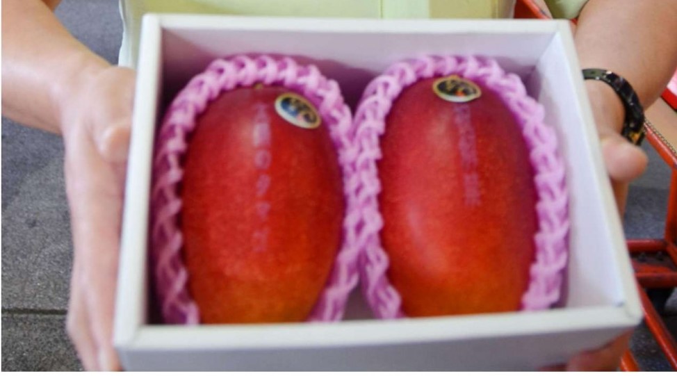 Top Ten World Most Expensive Fruits Japan Expensive Fruits