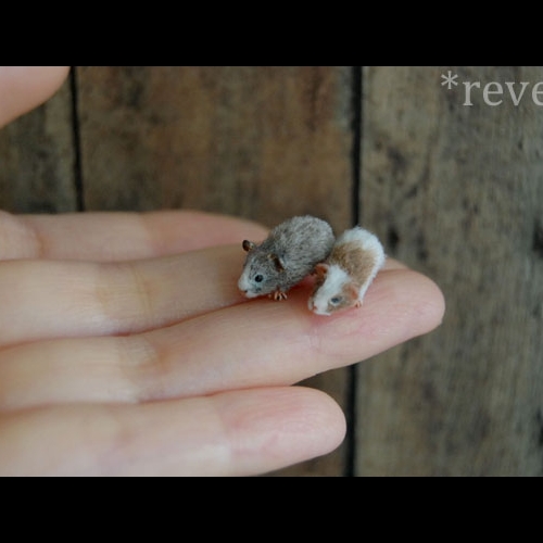 21-Guinea-Pigs-ReveMiniatures-Miniature-Animal-Sculptures-that-fit-on-your-Hand-www-designstack-co