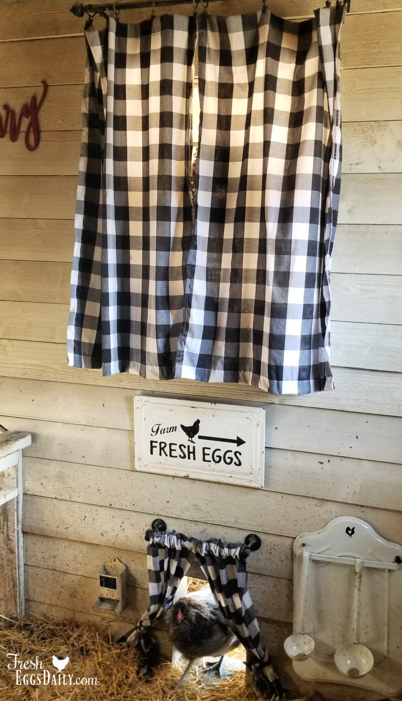 Chicken Coop Curtains "Pretty with a Purpose" Fresh Eggs Daily® with Lisa Steele