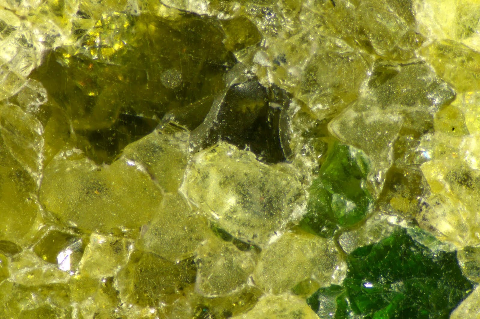 Peridotites Mantle xenolith reflectedlight photomicrograph
