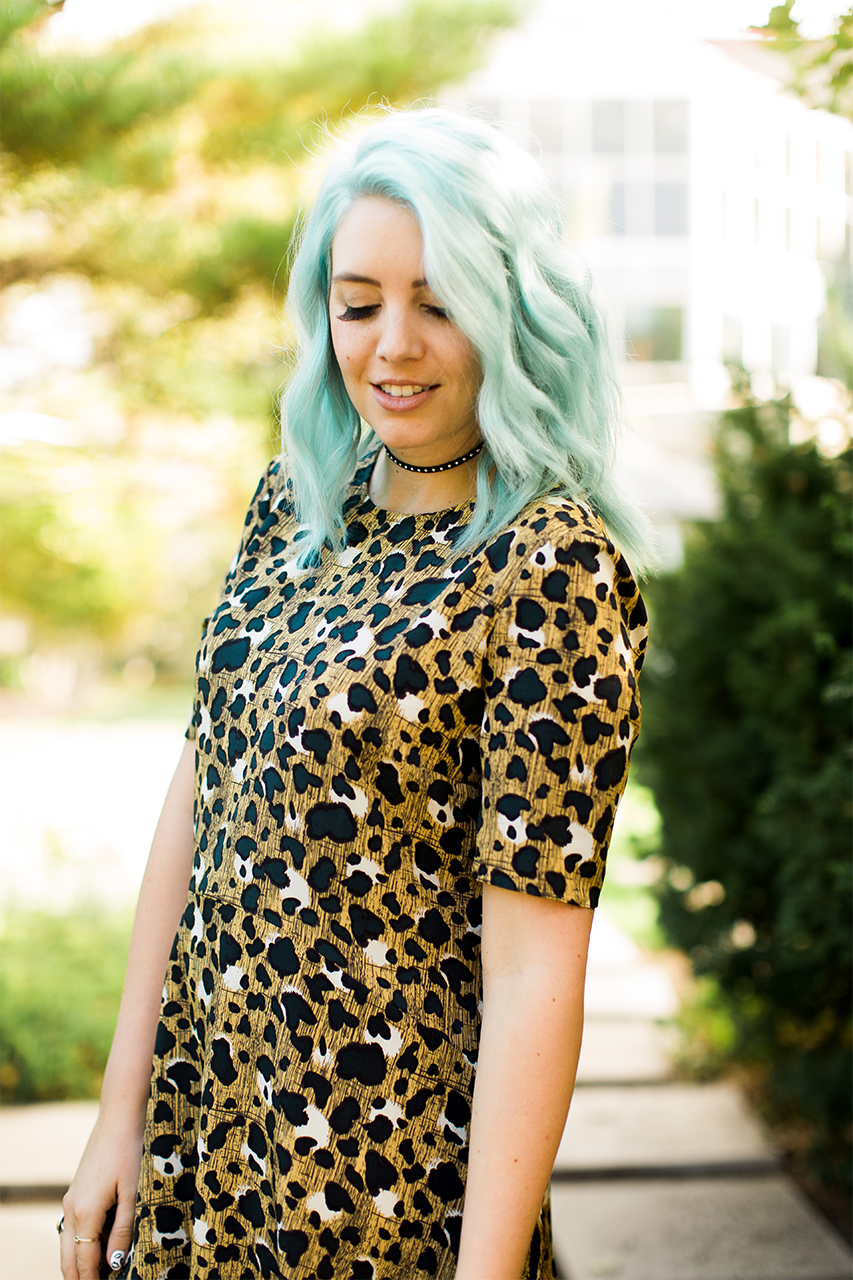 Leopard, Blue Hair, ASOS