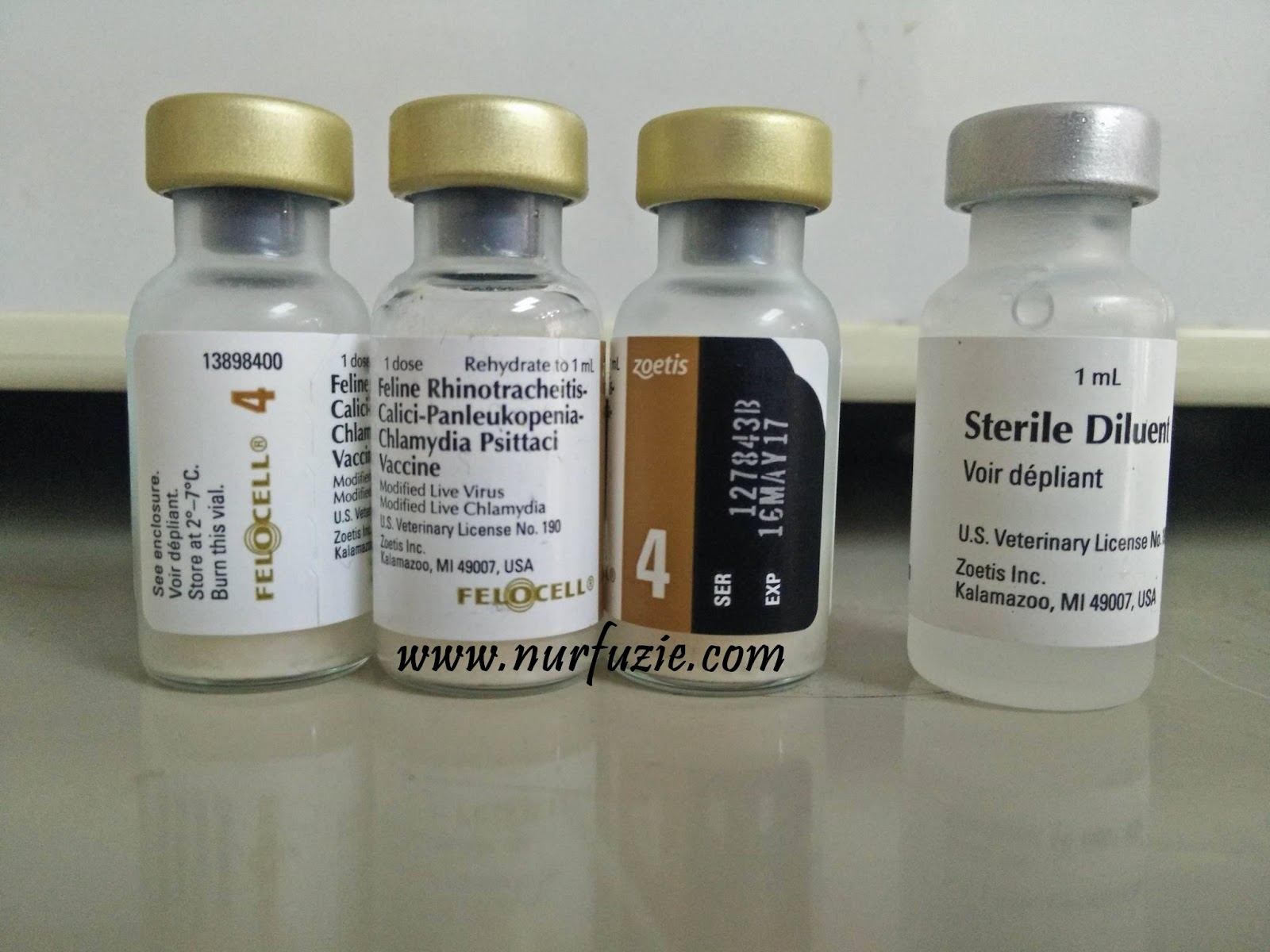 Foto Vaksin Kucing 4 in 1