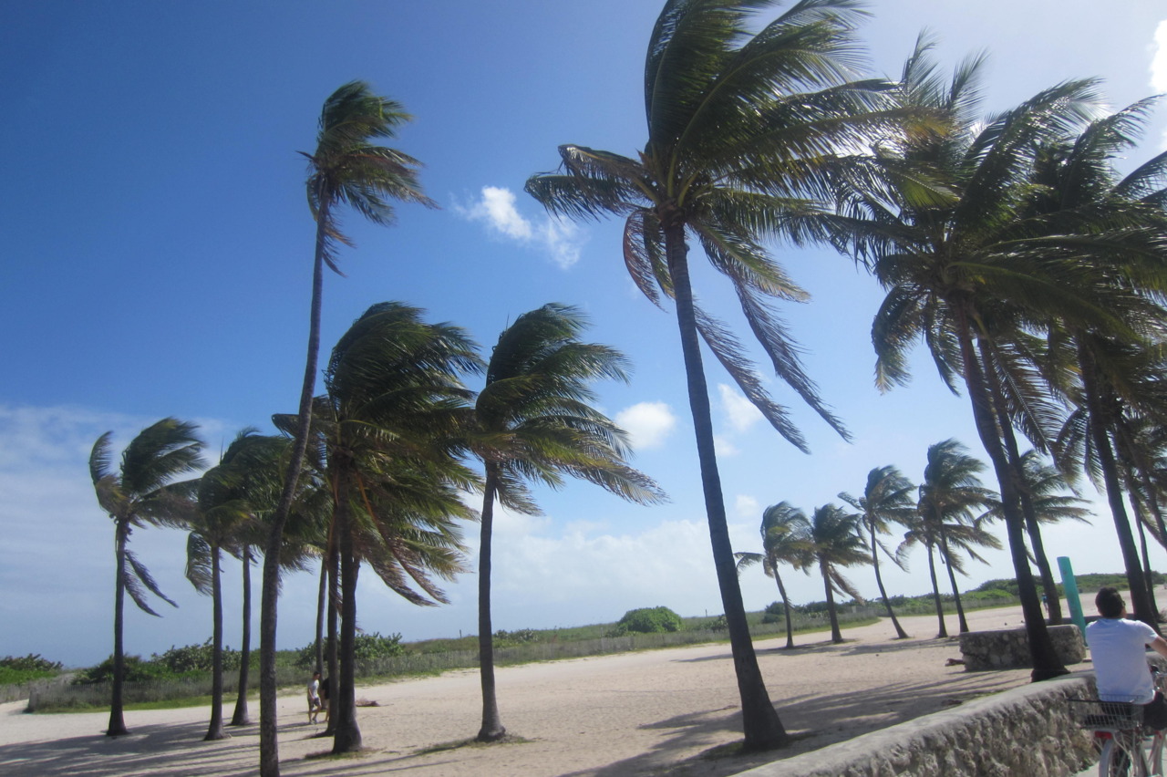 Knowledge Channel What makes the wind blow?