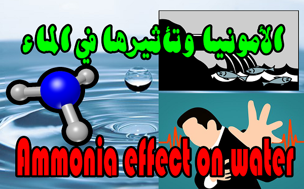 الامونيا I والسمك وتأثيرها في الماء والأمونيوم Ammonia I fish effect on water and ammonium 