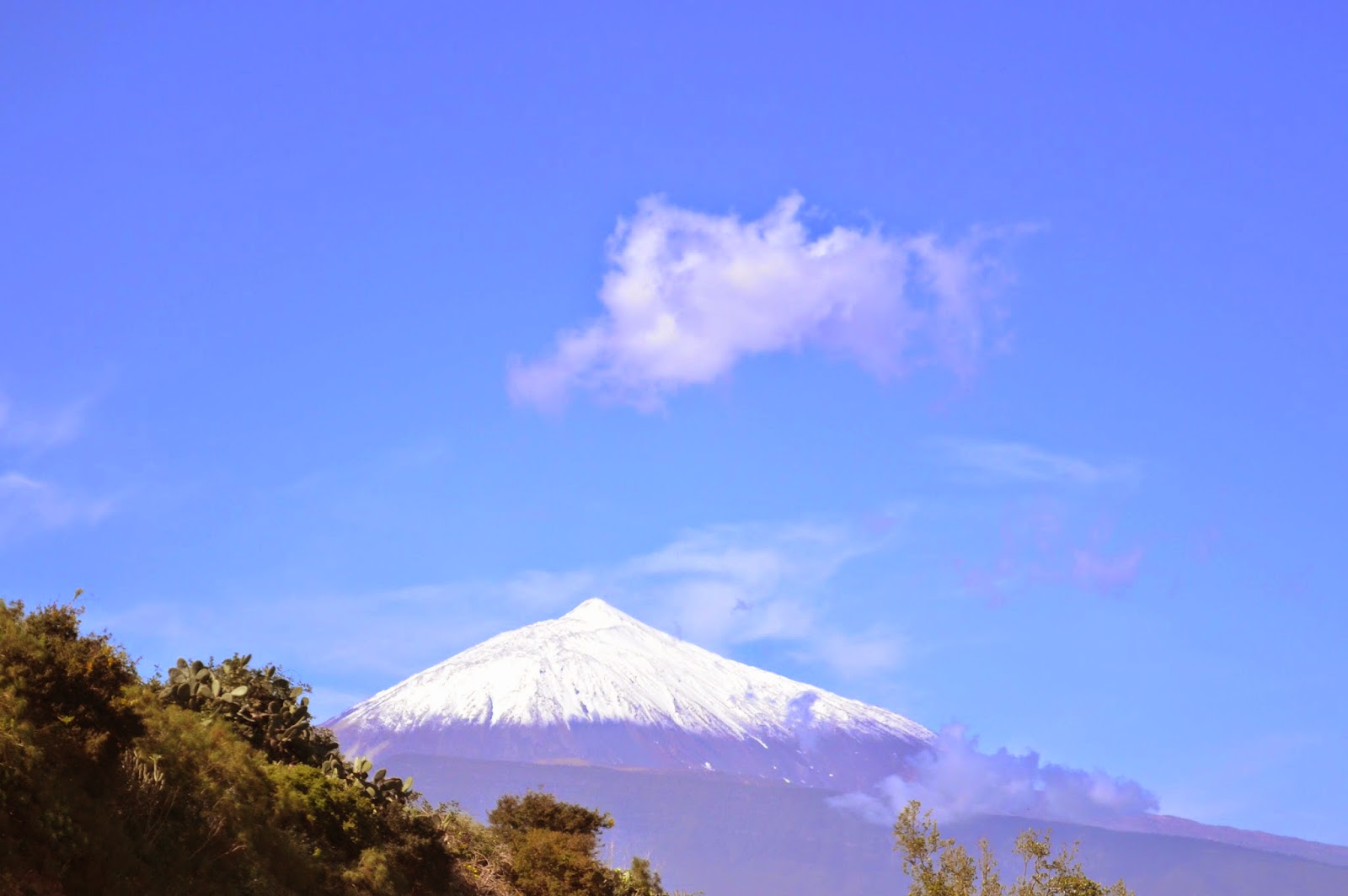 AMIGOS DEL ESCARABAJO TENERIFE: CON EL TEIDE NEVADO