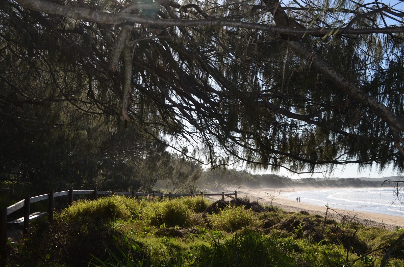 Drink The Wild Air Agnes Waters