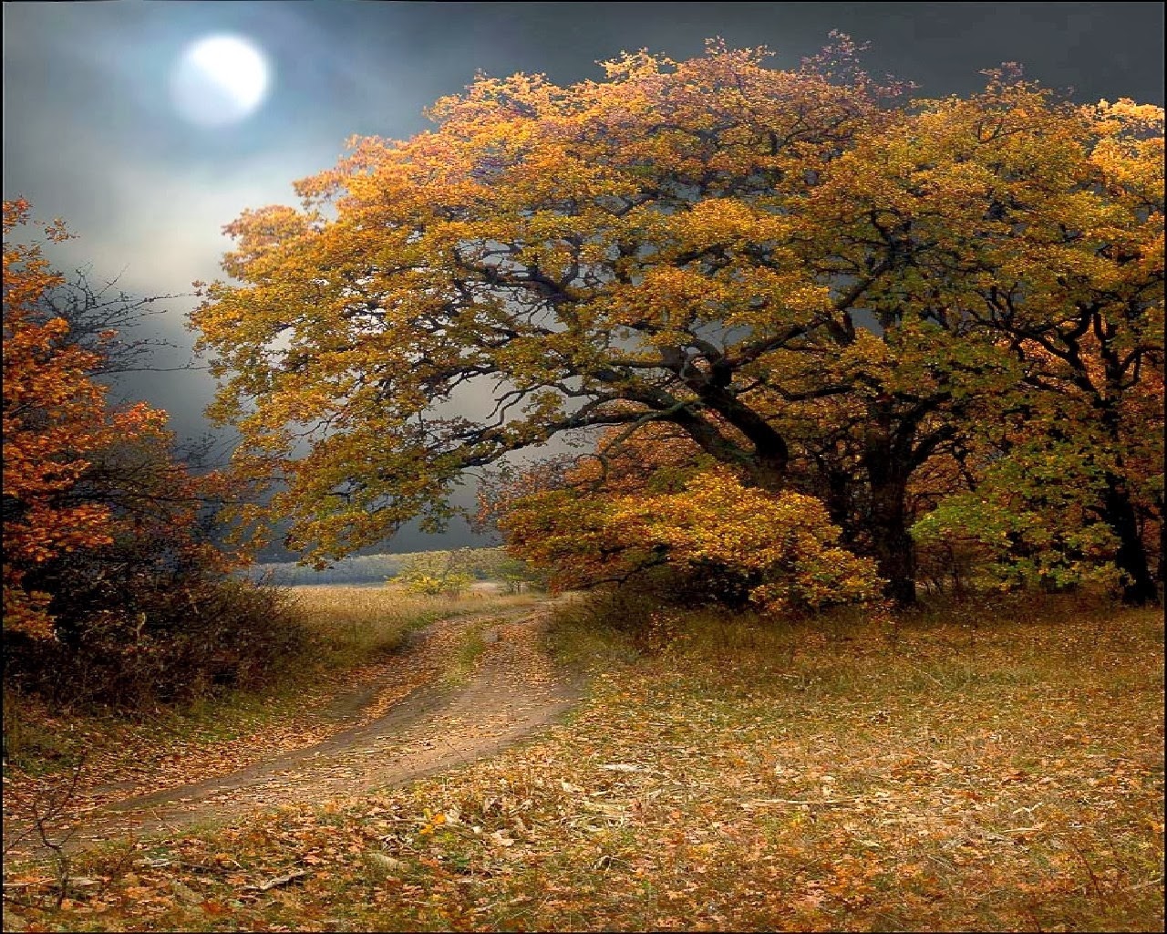 Beautiful Autumn Wallpapers Most Beautiful Places In The World