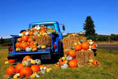 Graff Chevrolet Bay City >> Hank Graff Chevrolet - Bay City: Cider Mills & Orchards in Michigan's Great Lakes Bay Region Graff Chevrolet Bay City >> Hank Graff Chevrolet - Bay City: Cider Mills & Orchards in Michigan's Great Lakes Bay Region