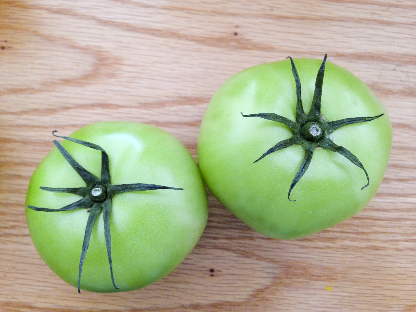 FEAST EVERYDAY Green Tomato Chocolate Cake by Christine