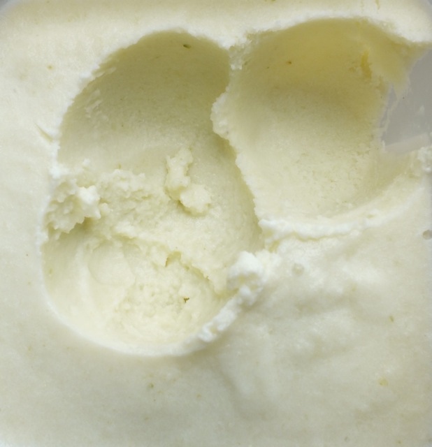 Bring back the bliss Gooseberry and elderflower frozen yogurt