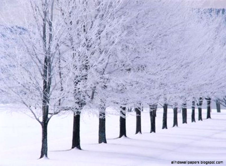 HD Wallpapers  Free Download HD Wallpapers   Part 29