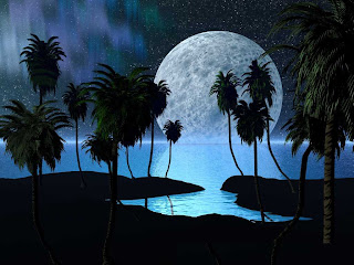 Full moon night , Twilight , Night , Beauty