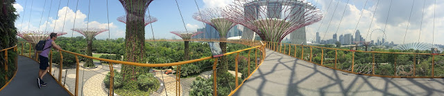 Supertree Grove, Gardens by the Bay