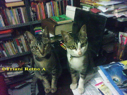 Teras Teera Lifestyle Blogger Page 2 Chan 53159871 Rssing Com