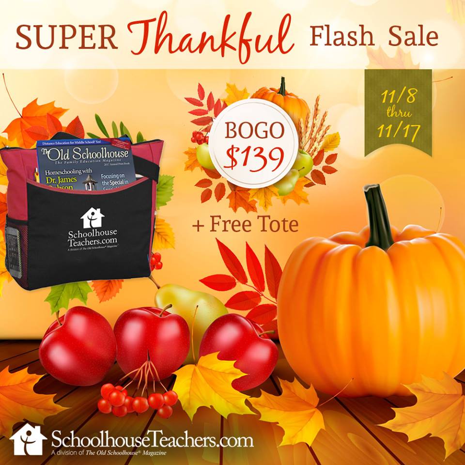 Homeschool Coffee Break French Foreign Language Studies (Blogging