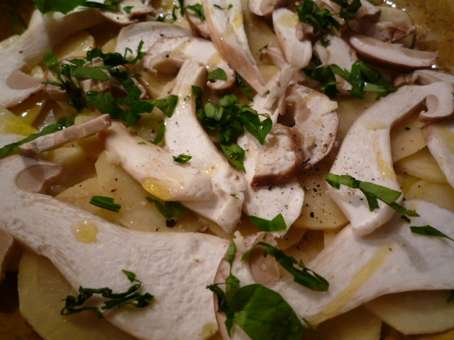 Bolli&amp;#39;s Kitchen: Steinpilz-Kartoffel - Gratin aux cèpes et pommes de terre