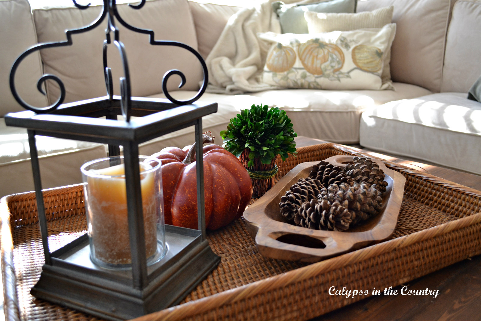 Fall vignette on rattan coffee table tray Fall vignette on rattan coffee table tray