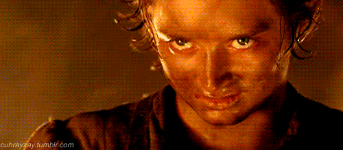 Frodo.gif