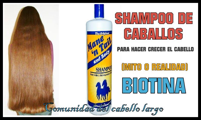 Comunidad del cabello largo: Shampoo de Caballos ¿Hace Comunidad del cabello largo: Shampoo de Caballos ¿Hace