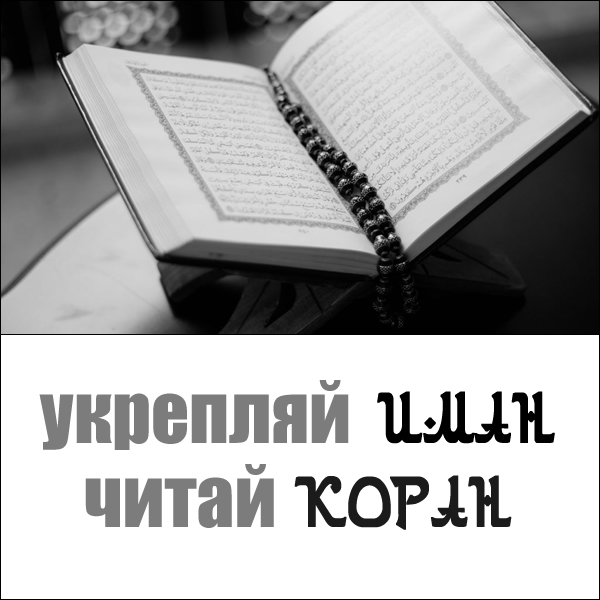 сура для укрепления имана. дуа для укрепления имана. укрепляй иман. иман как меч его надо постоянно. укрепление имана.