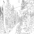 Best 15 Detailed Nature Coloring Pages Images