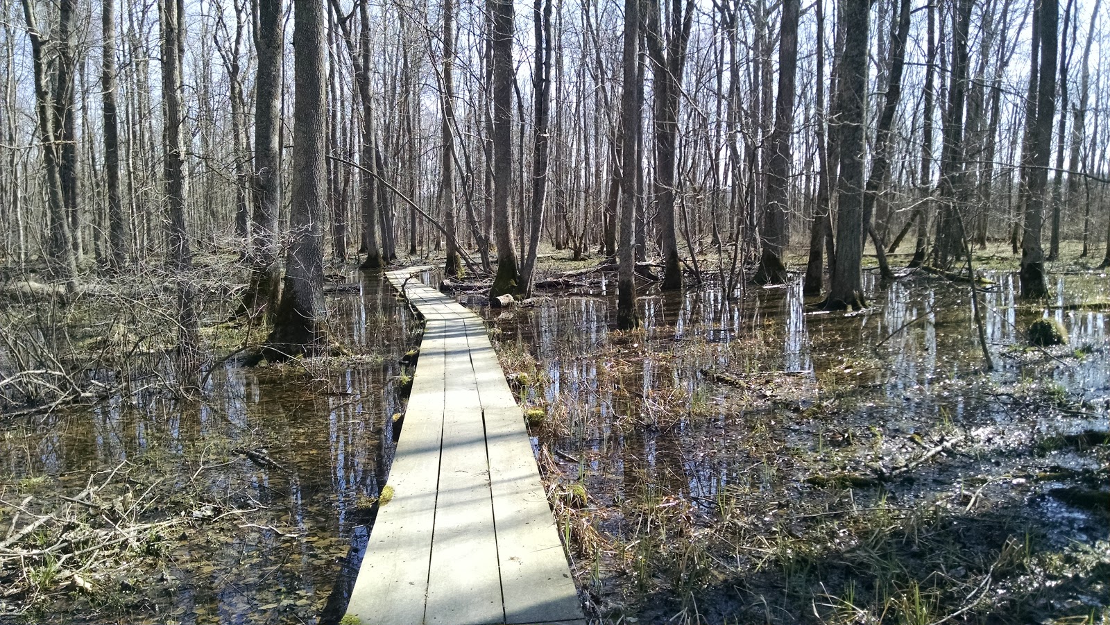 Ellettsville, IN Beanblossom Bottoms Nature Preserve Explore This City