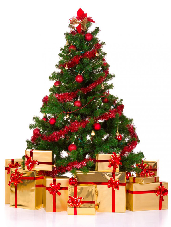 batfresh Sejarah Pohon Natal  yang Wajib Kamu Ketahui