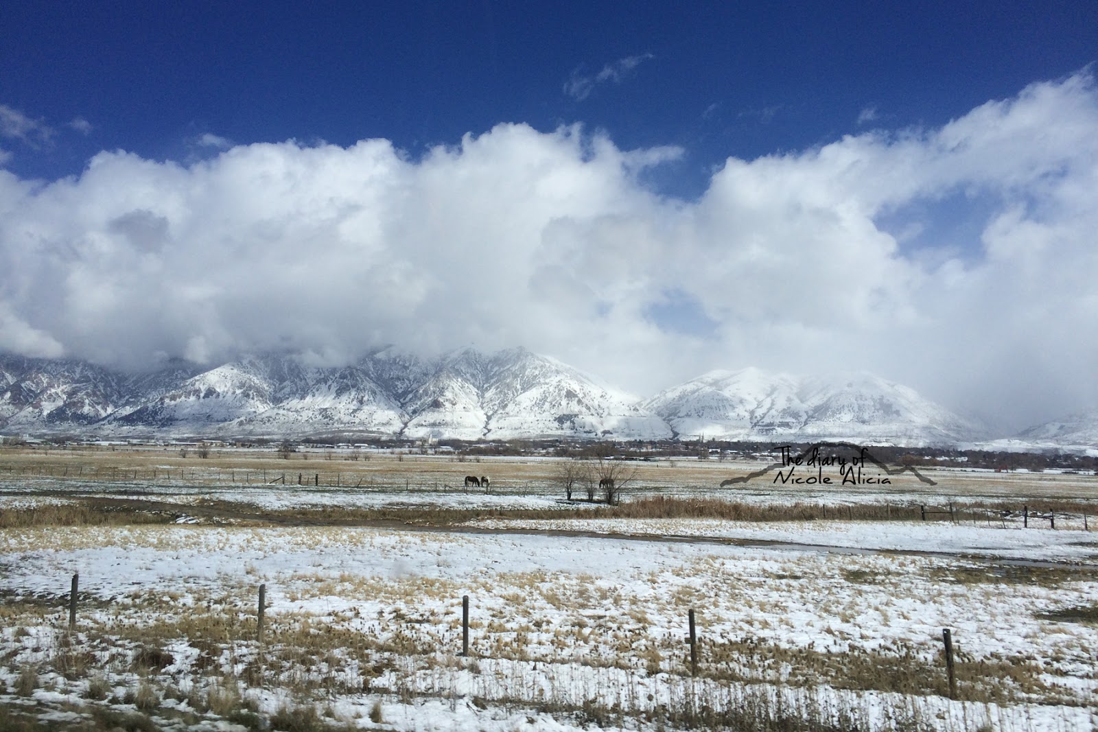 The Diary of Nicole Alicia Salt Lake City Trip & Ikea Haul