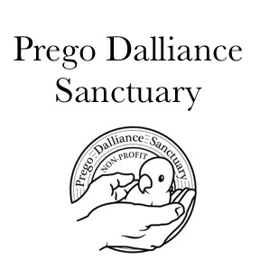 Prego Dalliance Sanctuary 