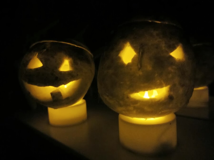 Bird's Yellow House TurnipOLanterns