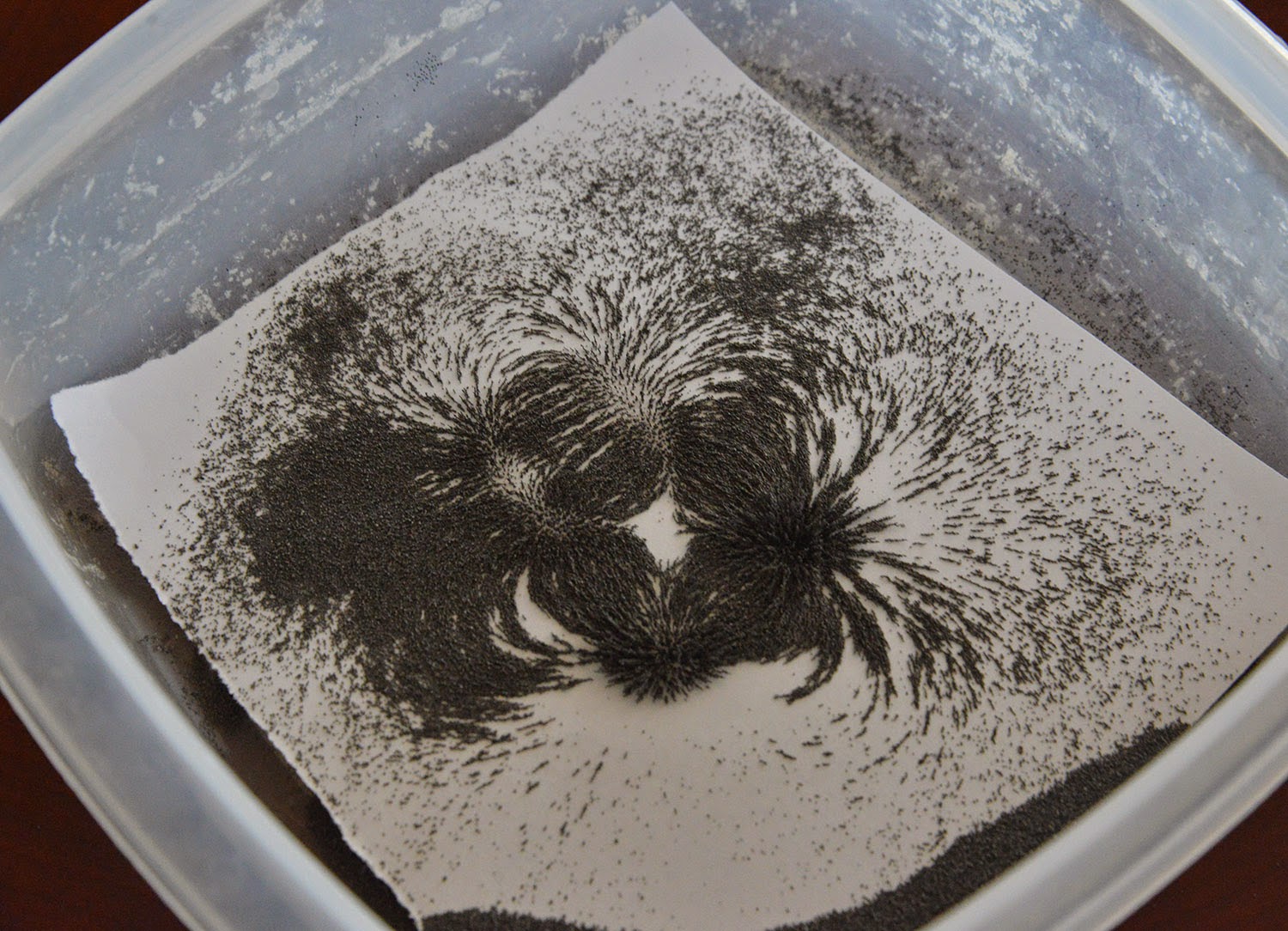 A school of fish Play 2D Fields, Art