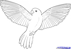 bird drawing simple flying
