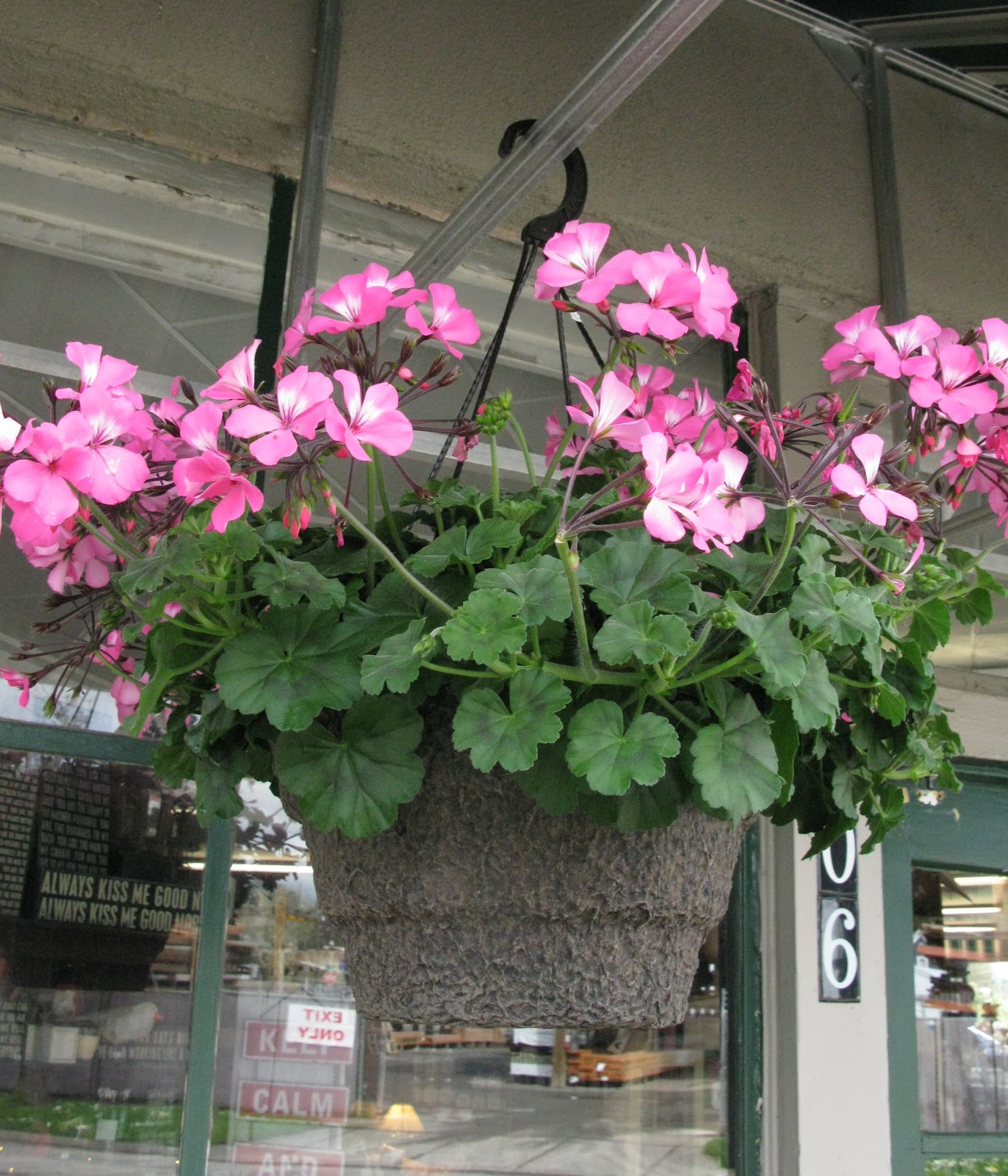 Farmhand Feed and Home Company Hanging Baskets
