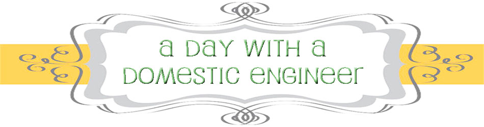 A Day with a Domestic Engineer