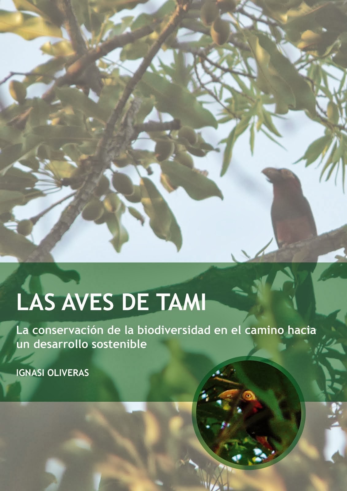 Informe sobre els ocells de Tami, Togo. Primavera 2013