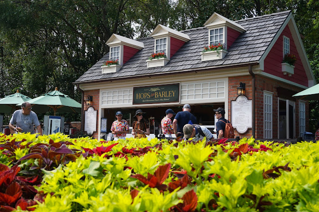 hops and barley epcot lobster roll