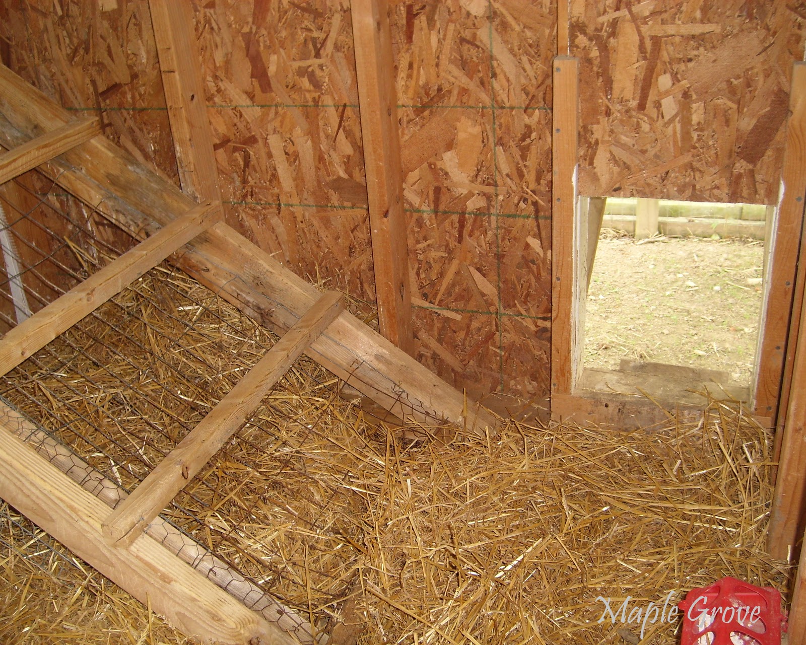 Maple Grove Keeping Chickens in the Winter